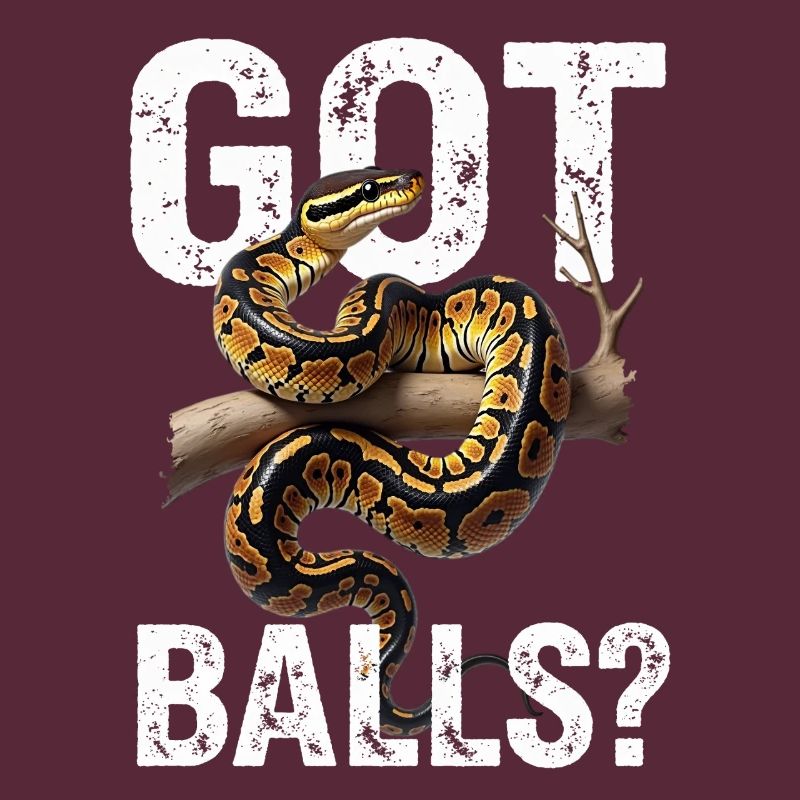 Python roi Serpents Amateurs de terrarium Python