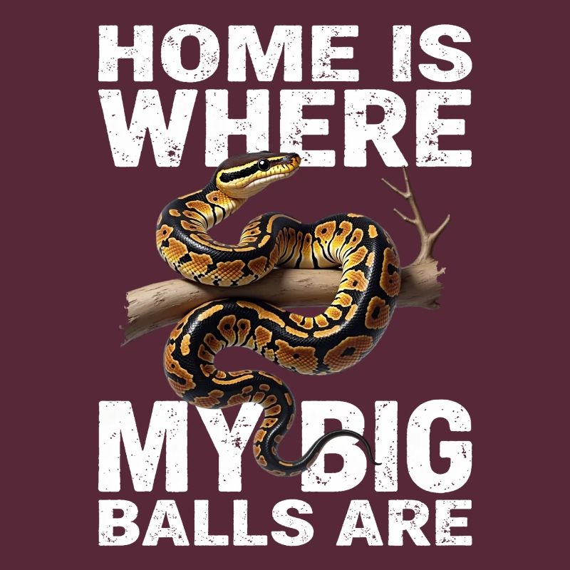 Königspython Schlangen Liebhaber Terrarium Python