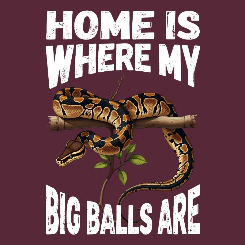 Königspython Schlangen Liebhaber Terrarium Python