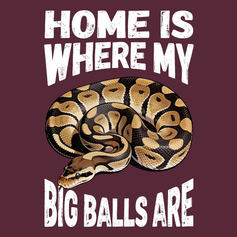 Python roi Serpents Amateurs de terrarium Python