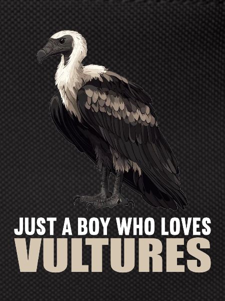 Vulture