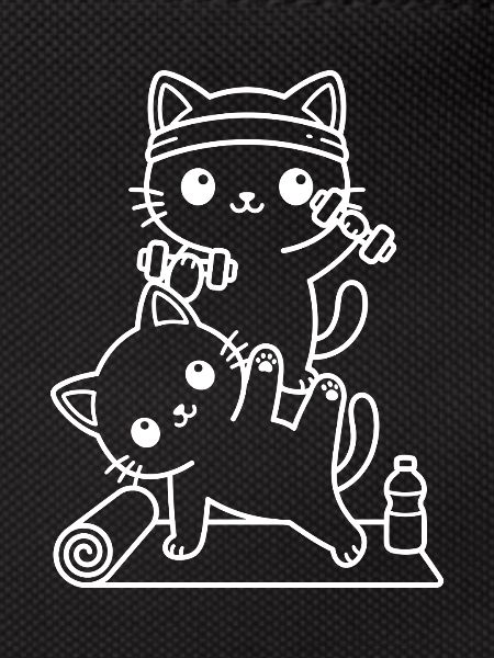 Kawaii cats training