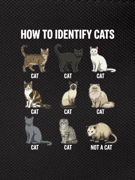 Cat Species Recognition Motif