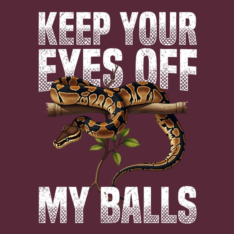 Königspython Schlangen Liebhaber Terrarium Python