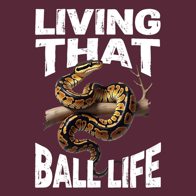 Königspython Schlangen Liebhaber Terrarium Python