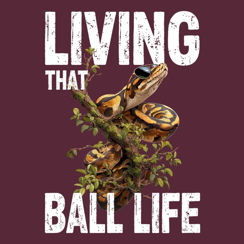 Python roi Serpents Amateurs de terrarium Python