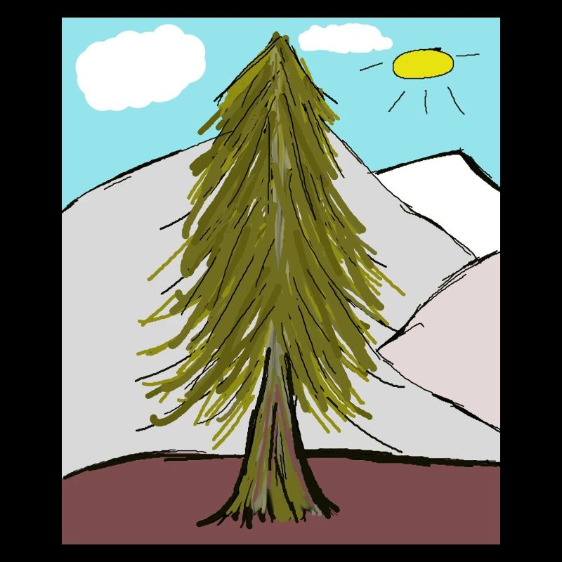 Coniferous forest on the mountain sunshine