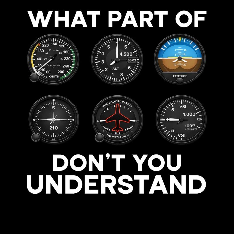 Flugzeug Flug Pilot Flugzeug Fluggesellschaft
