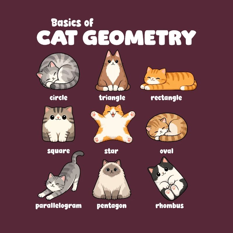 Basics of Cat Geometry Fun Math