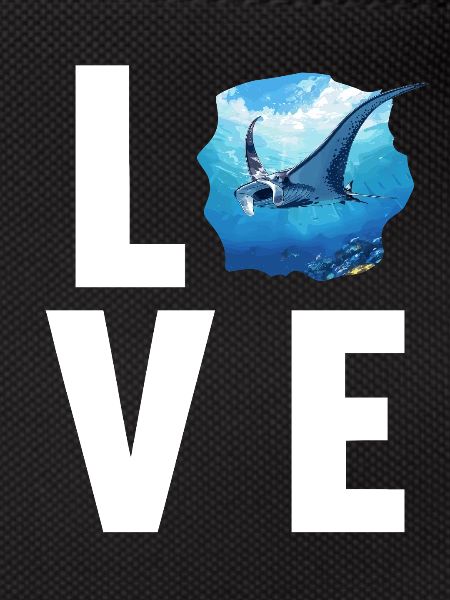Rays Manta Rays