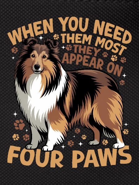 Shetland Sheepdog Sheltie Dog Breed
