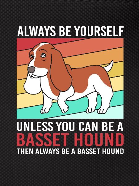Basset Hound