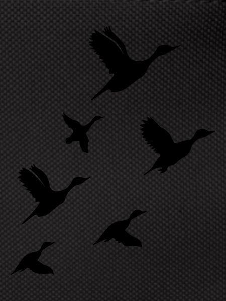 Flying Ducks