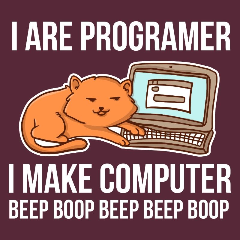 Programmeur-chat-humour pour coder et