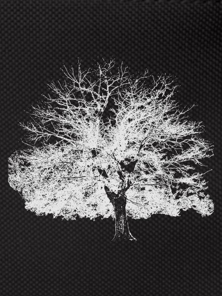 Winter tree white