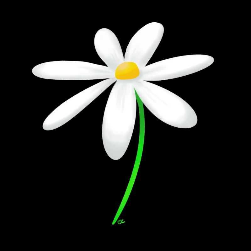 Margerite Blume