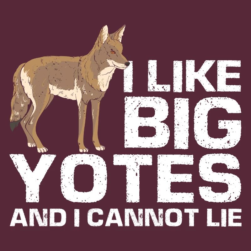 Conception de coyote pour les réacteurs de coyote