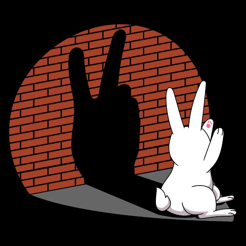 Rabbit Shadow Figure Shadow Image Shadow Play