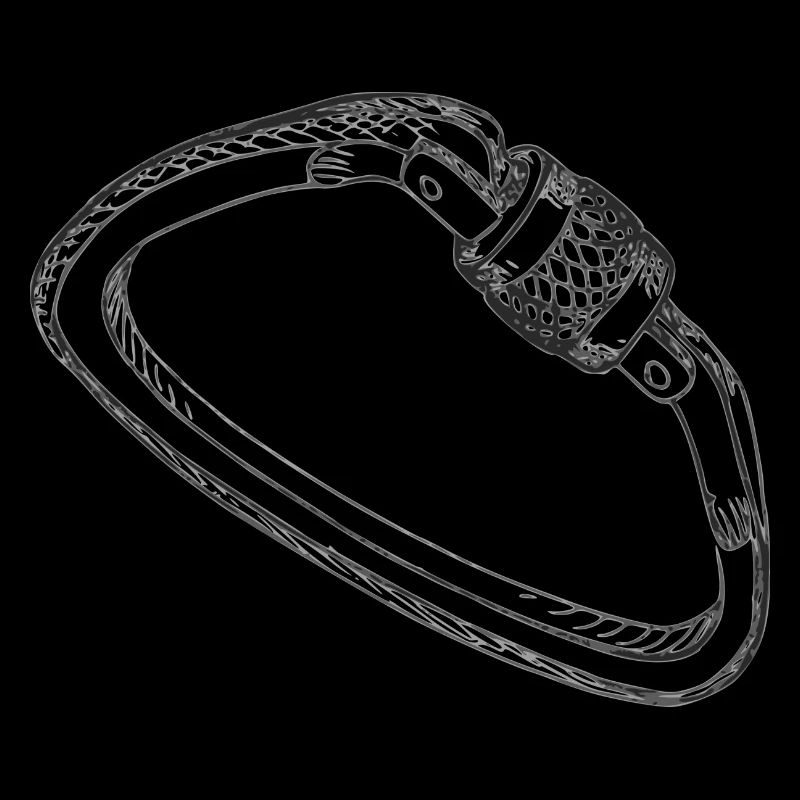 karabiner