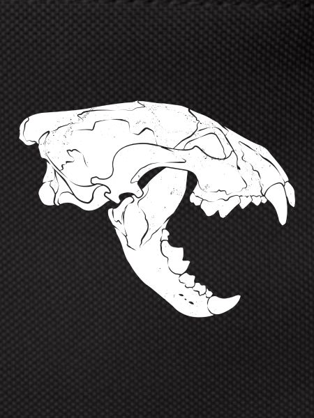 Wolverine Skull