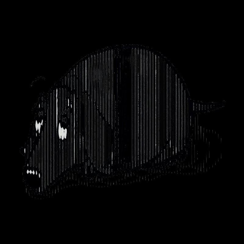 Black Dachshund