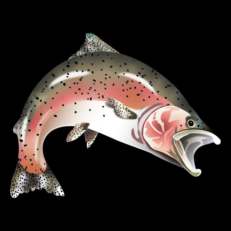 Saumon Truite Poisson