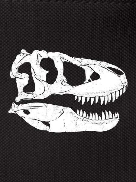 Tarbosaurus Fossil