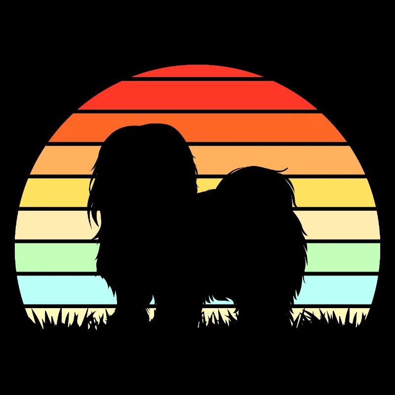 Chien Lhassa Apso