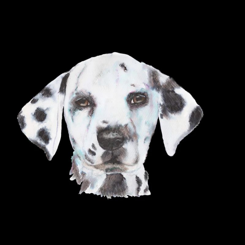 Dalmatien