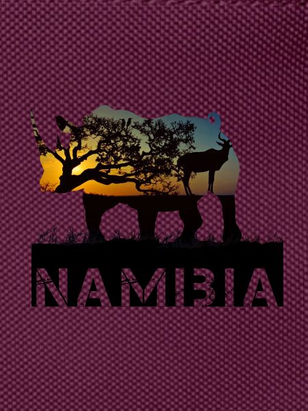 Namibia Rhino