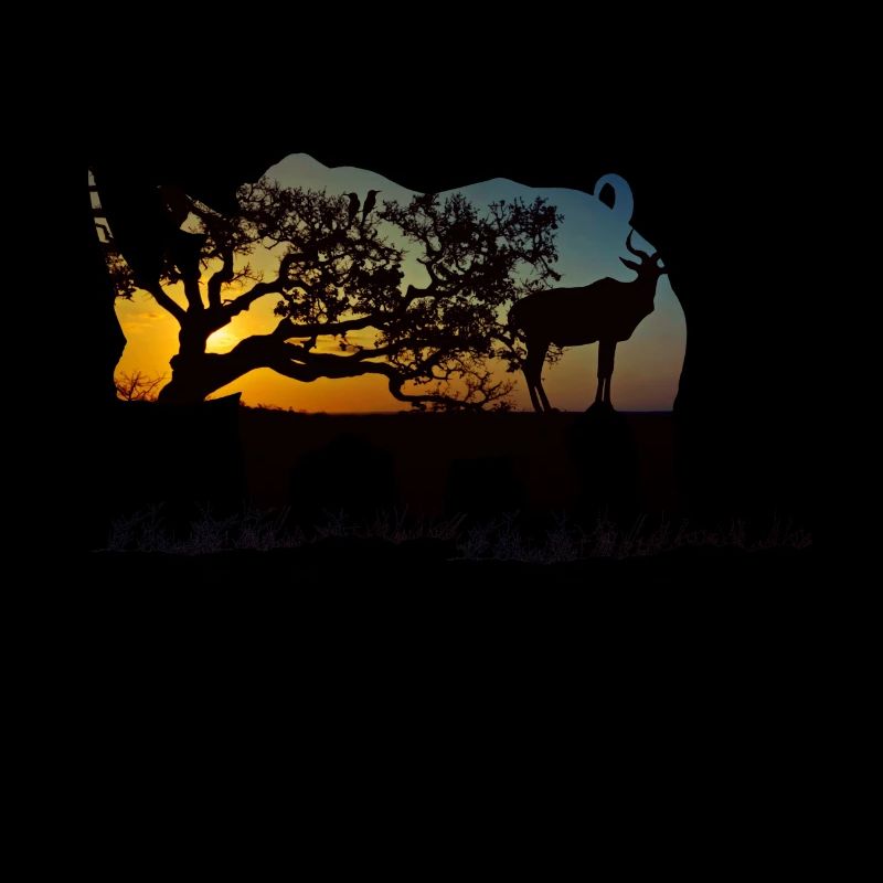 Namibia Rhino