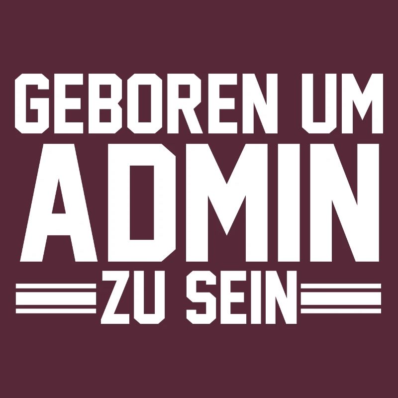 Administrator Informatiker Programmierer Admin