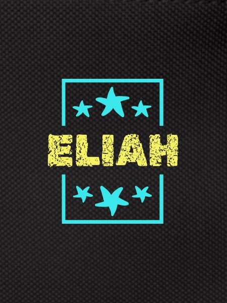 Elijah as Elijah