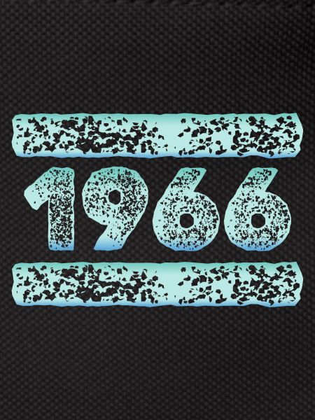 Year 1966