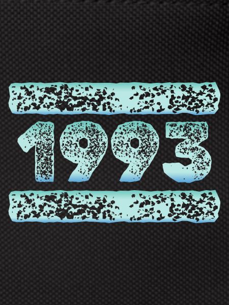 1993 1993