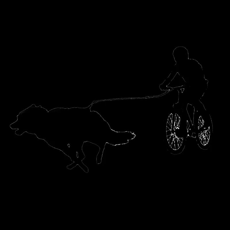 Biker Team