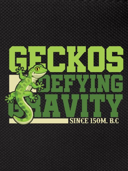 Geckos Defying Gravity
