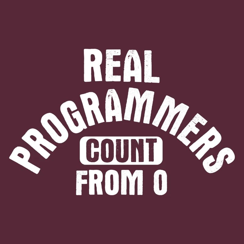 Software Ingenieur Informatiker Programmierer