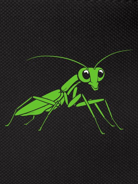 Praying mantis