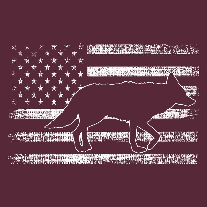 Conception de coyote pour les réacteurs de coyote