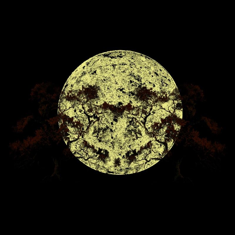 Moon, Forest, Trees, Nature, Botany, Flora