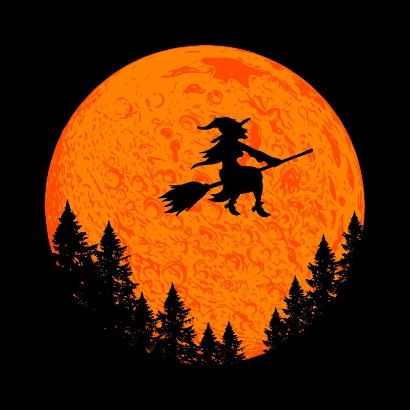 Witch on witch broom Halloween