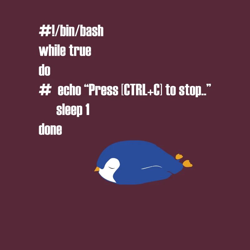 Funny Linux programmer computer scientist gift