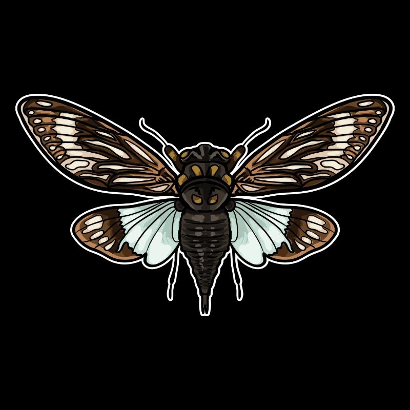 Cicada Colorful
