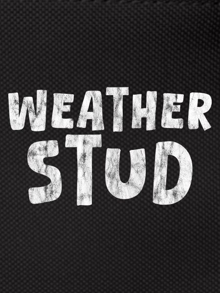 Weather Stud 3