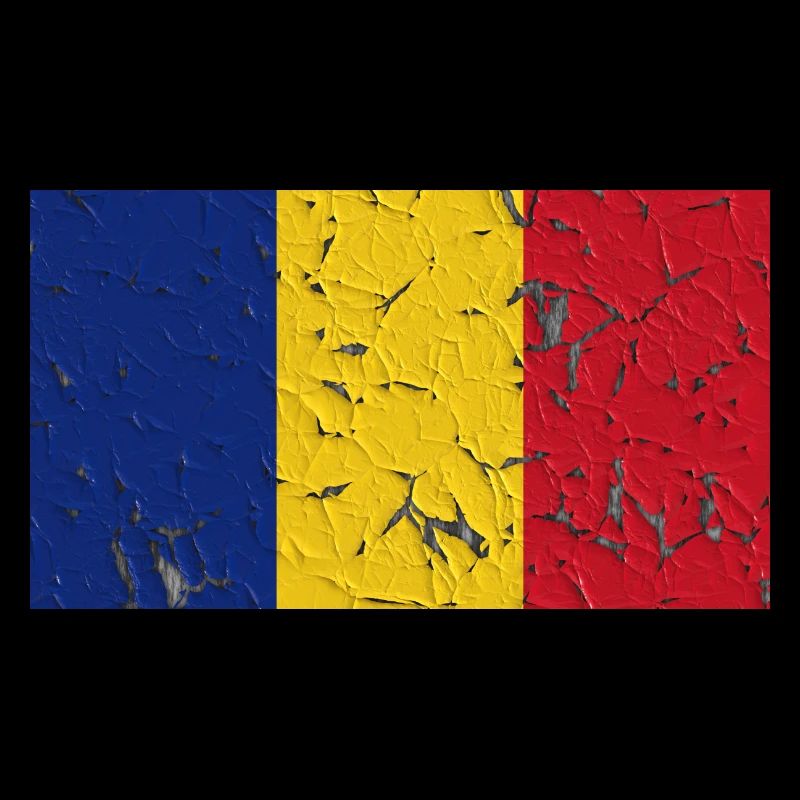 Gift for Romania