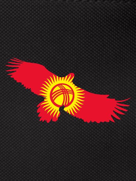 Kyrgyzstan flag, gift