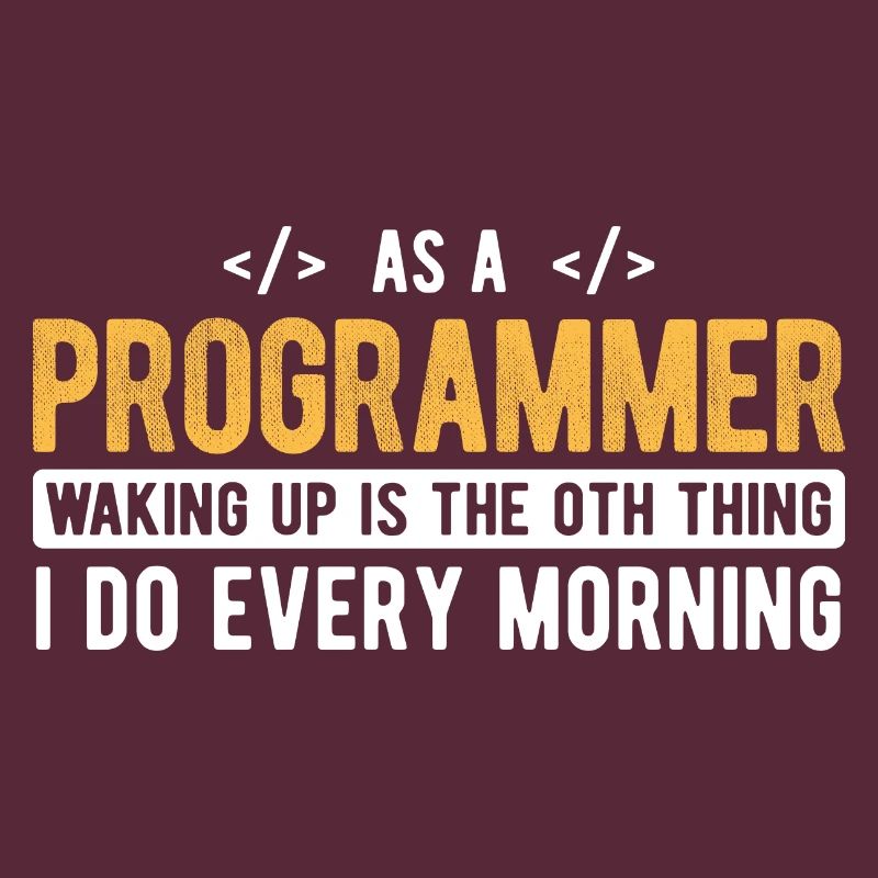 Software Ingenieur Informatiker Programmierer