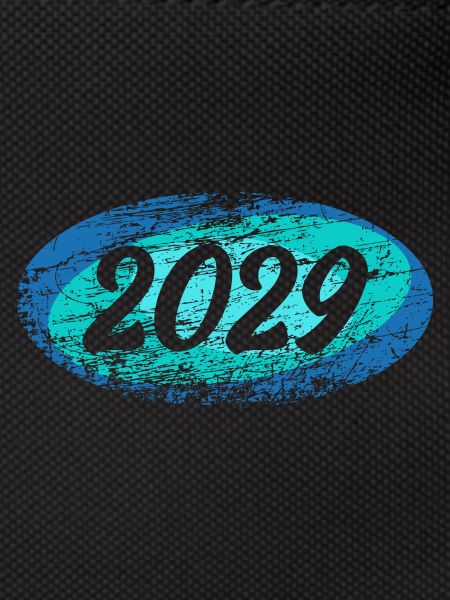 2029 2029