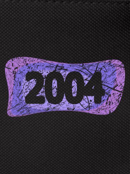 University 2004